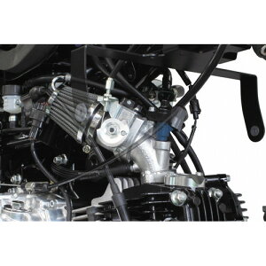 SP����(�X�y�V�����p�[�c����) �r�b�O�X���b�g���{�f�B�[�L�b�g��34 Z125 PRO(BR125H-A02621-) 03-05-0146 �o�C�N