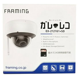 FRAMING(フレーミング) 事務用品 ガレレコ SDカード128GB付 EX-2121G1+SD