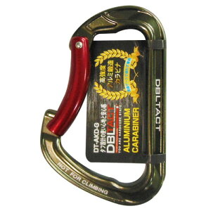 DBLTACT(_u^Ng) A~bJri DT-AKD-G ReiE[pi