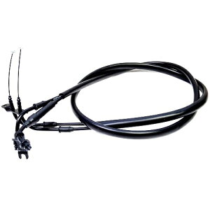 KN iANZP[u 10cmO VOiXX 2/3^FIp KN-CY3MIDAC oCN XbgP[uEANZC[