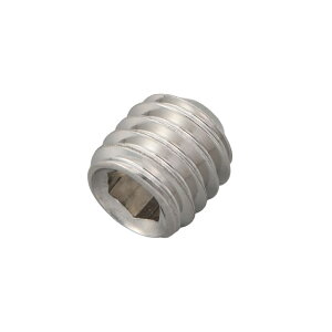 DAYTONA(fCgi) XeXClW(1) M6X6mm 16102 oCN nh