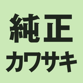 KAWASAKI(カワサキ) バイク 【純正部品】ベアリング.カムシャフト 13034-030