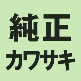 KAWASAKI(カワサキ) バイク キャブレター 【純正部品】ホルダ(キャブレタ).#2&#3 16065-1235