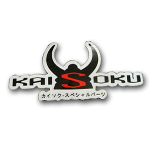 KN KAISOKU XebJ[ [50mm×110mm] KAISOKU-STICK-01 oCN