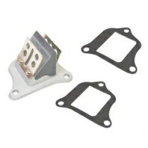 KN rbO[hou CufBIp (3^Cv) 2008-AF35 oCN