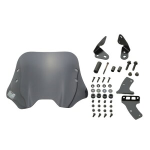 DAYTONA EChV[hSS X[N/V[g WNT[150/250 17447 oCN O hEEChV[hEXN[