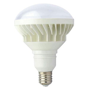 TRAD(gbh) LED CLD-50W ƓEƃCgE[NCg