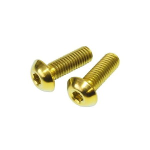 FF-R(�G�t�G�t�A�[��) TIC-515T �`�^���{���g(M5×15) �S�[���h ���]�� �{�g���E�{�g���P�[�W