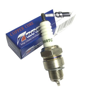 TORCH E6RTC(BPR6HSA݊) WvO lW` oCN