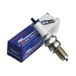 TORCH D8RC(DR8EA݊) WvO lW` oCN