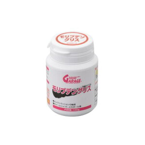 DAYTONA �����u�f���O���X 100g 17684