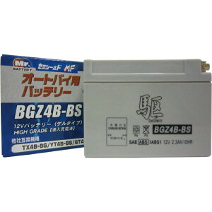  BGZ4B-BS (YT4B-BSAGT4B-5 ݊)(t[d) oCN ^MFobe[