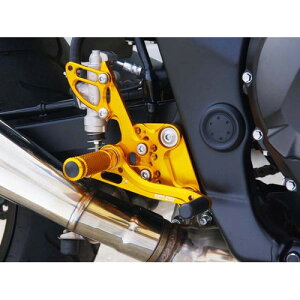 BABYFACE(�x�r�[�t�F�C�X) �o�b�N�X�e�b�v/GLD 6P Bandit/GSX1250 07-11 002-S014GD �o�C�N