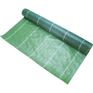 TRUSCO hV[g ό7N 2.0m×50m TBO72050