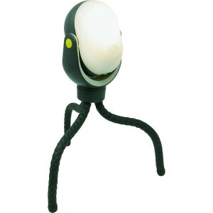 RITEX ǂłZT[Cg300 ASL097 hƁEhЗpi