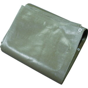 H oAV[g \ʁFODO[ ʁFx[W 3.6m×5.4m BRA3654 K[WH