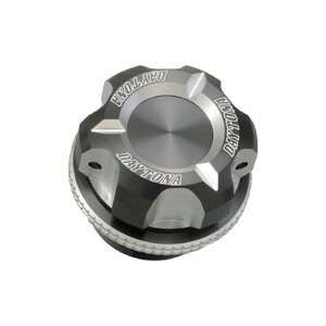 DAYTONA PREMIUM ZONE tB[Lbv M20×P2.5 AbVVo[ 91894 oCN