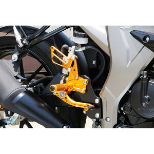 BABYFACE(�x�r�[�t�F�C�X) ���[�X�X�e�b�v�L�b�g GLD GSX-R125/150 18- R02-S004GD �o�C�N