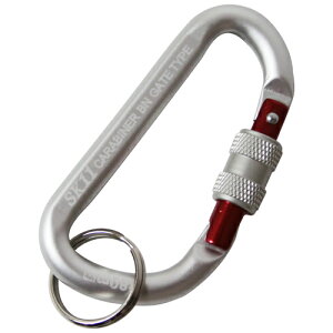 SK11(GXP[C`C`) bNJri BN SAC-880BN Vo[ oCN G݁EANZT[