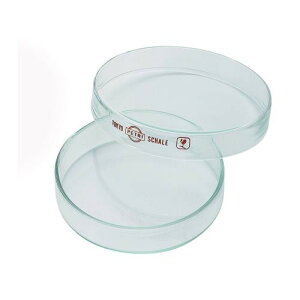 BeHAUS(ビハウス) 硝子シャーレ φ90 GS-90 ボトル・容器