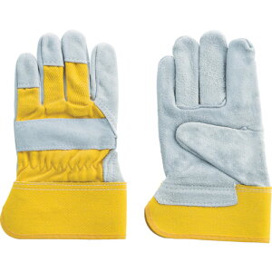 xmO[u #180 v(Ȃ^Cv)CG[ ƁEۈpi