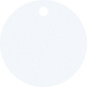 {Ώ\ XeXێD(nD) Vo[ XeXD-B 30mm×0.8mm 10g pi