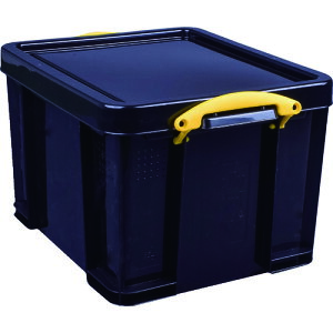 RUP Rei Really Useful Box 35L ubN