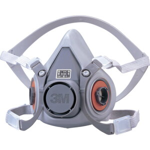 3M(X[G) hŃ}XNʌ`ʑ 6000 LTCY qpi