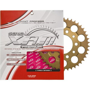 XAM JAPAN(�U���W���p��) �v���~�A�� ���A�X�v���P�b�g A4401R-52 �u�����Y A4401R52 �o�C�N