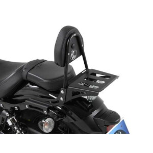 HEPCO&BECKER(wvR&xbJ[) V[V[o[ with bN Bolt/{g/XV950/R(13-) 611-4538-0001 oCN O ^fo[EobNXg