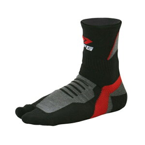 DFG ^r\bNX V[g S/M C3077 oCN