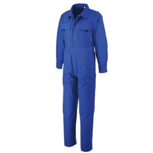 ATqY(ATqTME) IbNXciM u[ 4L CA-5500  S ۈ ȂEciM