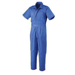 �A�T�q�Y��(�A�T�q�T���M���E) �����c�i�M�� �u���[ 4L CA-8700 ��� ���S �ۈ� �Ȃ��E�c�i�M