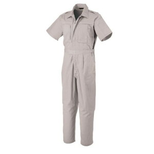 �A�T�q�Y��(�A�T�q�T���M���E) �����c�i�M�� �O���[ S CA-8700 ��� ���S �ۈ� �Ȃ��E�c�i�M