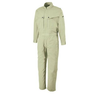 ATqY(ATqTME) ciM O[ S SA1200  S ۈ ȂEciM