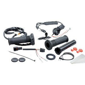 KIJIMA(LW}) Obvq[^[KIT GH07 ZX-25R 304-81982 oCN