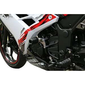 STRIKER(XgCJ[) K[hXC_[ CA 13Ninja250 SS-GS117C-F3 oCN O