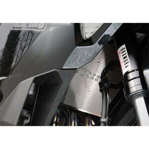 STRIKER(XgCJ[) WG^[RAK[h SV ZX-25R SS-CG157 oCN