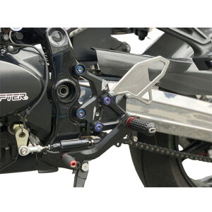 STRIKER(�X�g���C�J�[) ���C�h�q�[���K�[�h L �P�i �V���o�[ SS-R9703003L-S �o�C�N ���̑��t���[�����