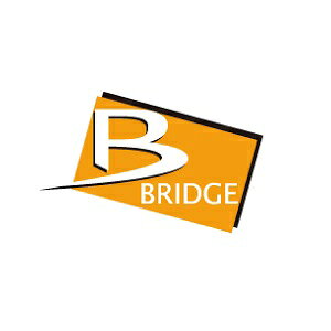 BRIDGE(ubW) ~jJv[[q X 100 SP-704 oCN M{VE[qEzRlN^[