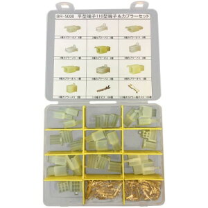 BRIDGE(ubW) ^[q 110^[q&Jv[Zbg BR-5000 oCN M{VE[qEzRlN^[