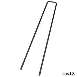 ZteB[3 R̎s 3.5×15cm 50P _@ hV[gEV[gs