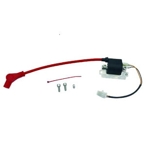 C.F.POSH(CF�|�b�V��) ���[�V���OIG�R�C�� �X�s�[�h�v���c�C���V���R���v���O�R�[�h ���b�h (�v���O�L���b�v�L) 838011-04 �o�C�N