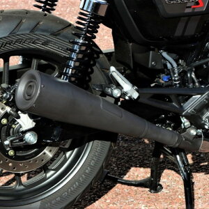 STRIKER(XgCJ[) DLIVE Xg[gC XbvI}t[ JMCA Kz ϔMubN DLI-1650STJ-B oCN XbvI}t[ETCT[