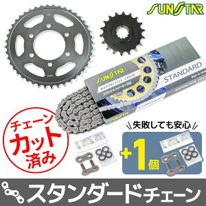 SUNSTAR(TX^[) XvPbg&`F[Lbg KS40515 oCN 쓮nZbg