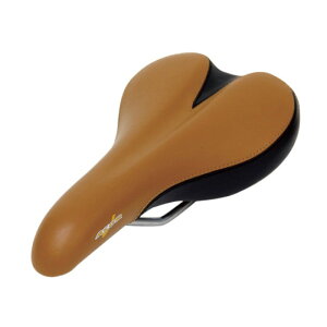 GCJ[(ACOR) RtH[gTh uE ASD-2604 ]