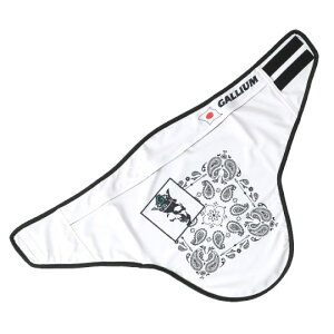 GALLIUM }WbNlbNQ[^[ zCg KC0035 qpi }XN