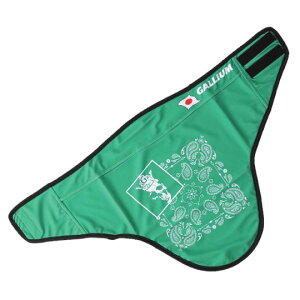 GALLIUM }WbNlbNQ[^[ O[ KC0038 qpi }XN