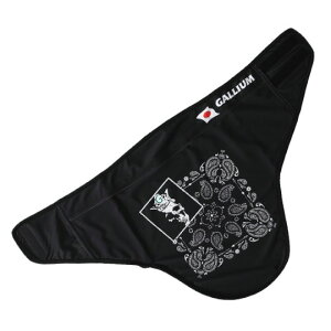 GALLIUM }WbNlbNQ[^[ ubN KC0036 qpi }XN