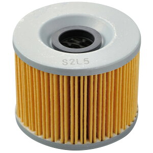 DAYTONA vCXICtB^[ Ɩp10 F-12 GSX250SJ^i 35208 oCN